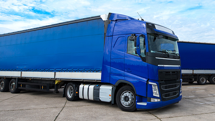 Manuais de Formação